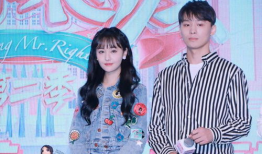 娱乐圈吃瓜元素